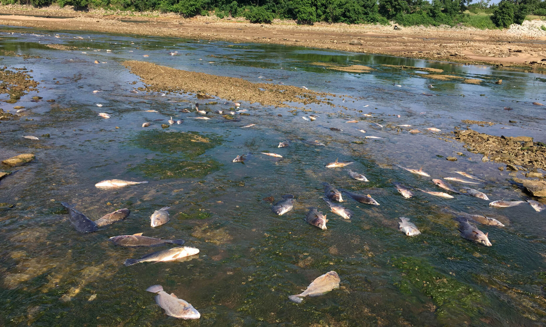 Arkansas River history